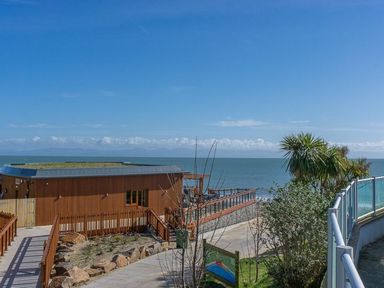 A wooden building with a green roof near the sea with a walkway and palm trees at E19 The Warren in Abersoch