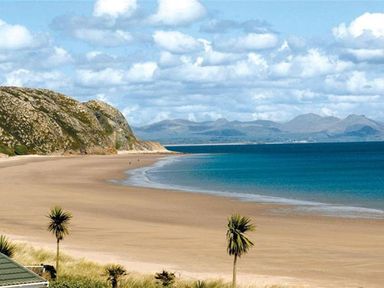 A sandy beach with a few palm trees and hills in the background at E19 The Warren in Abersoch