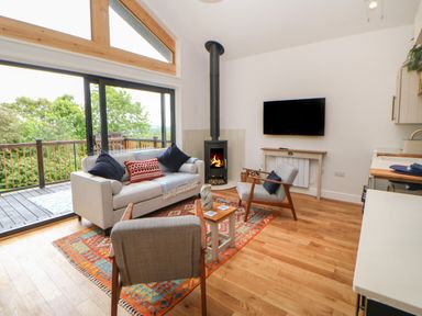 A living room with sofa chairs a wood stove and a large window overlooking trees at The Bothy Riding Hills