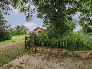 A garden gate and stone wall with trees and green foliage near a house and driveway at The Bothy Riding Hills in Riding Mill near Corbridge
