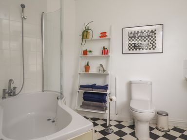 A bathroom with a bathtub shower combination toilet ladder shelf with plants and towels at White Feathers in Alnwick