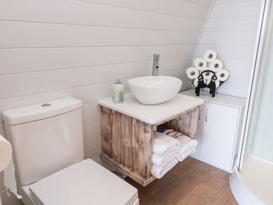 A bathroom with a toilet a wooden sink cabinet with towels a round sink and toilet paper rolls on a holder at Oak in Elmgate near Saltash