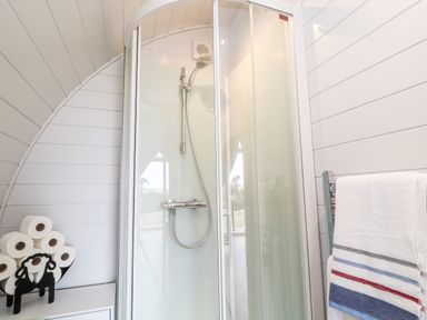 A bathroom with a glass shower enclosure a towel rack with a towel and a black sheep-shaped toilet paper holder at Oak in Elmgate near Saltash