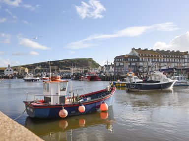 A harbor with boats docked along the waterfront and buildings in the background at Braiders Rest in Bridport
