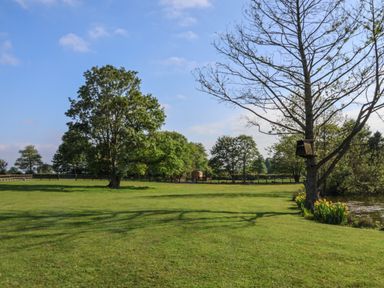 A grassy field with trees a birdhouse and a small pond at The Oak Hut in Coton near Whitchurch