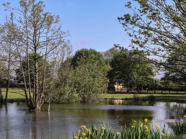 A pond with trees around and yellow flowers in the foreground at The Oak Hut in Coton near Whitchurch