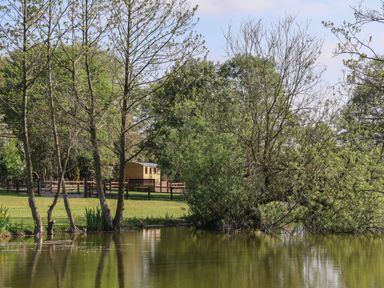 A pond with trees and bushes along the edge and a fenced area with a small wooden structure in the background at The Oak Hut in Coton near Whitchurch