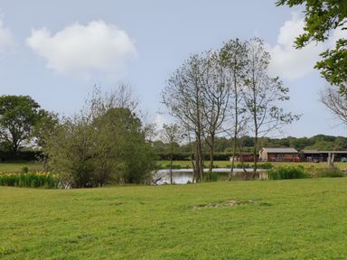 A grassy field with trees and a pond and buildings in the background at The Oak Hut in Coton near Whitchurch