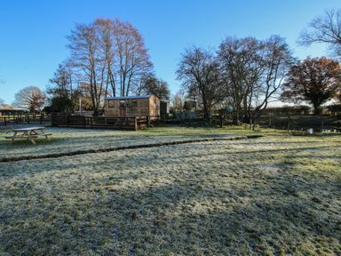 A grassy yard with a picnic table and a wooden cabin surrounded by leafless trees at The Oak Hut in Coton near Whitchurch
