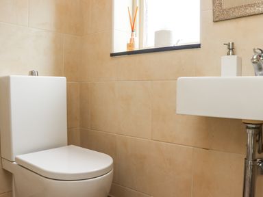 A bathroom with a toilet and a sink under a window at Cullernose Cottage in Newton-by-the-Sea near Embleton