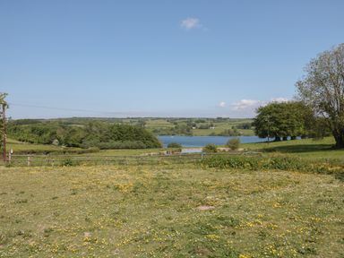 A field with yellow flowers and a wooden fence overlooking a lake with trees and hills in the background at The Snug in Dulverton
