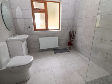 A bathroom with a toilet sink mirror window radiator and decorative plants at Gortnamona Coolnaharragill Lower near Glenbeigh County Kerry