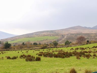 A grassy field with patches of bushes and scattered trees with hills in the background at Gortnamona Coolnaharragill Lower near Glenbeigh County Kerry