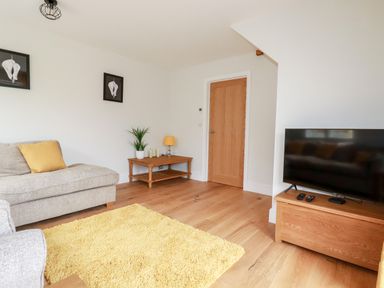 A living room with a gray sofa with yellow pillow a wooden coffee table with a lamp and plant a flat screen tv on a wooden stand and a yellow rug on wooden floor at Chynoweth House in Cubert