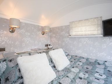 A bedroom with sheep patterned bedding two white pillows wall lamps and a window at Shepherd's Stone in Llanfairynghornwy near Llanfaethlu