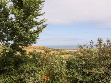 A landscape with bushes and a tree overlooking fields and the sea at Shepherd's Stone in Llanfairynghornwy near Llanfaethlu