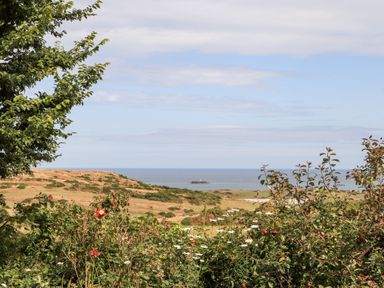 A coastal landscape with wildflowers and shrubs in the foreground and the sea with a small island in the background at Shepherd's Stone in Llanfairynghornwy near Llanfaethlu