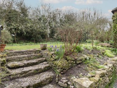 An outdoor garden with stone steps leading to a grassy area with various plants and trees at Chalkpit Cottage in Blewbury