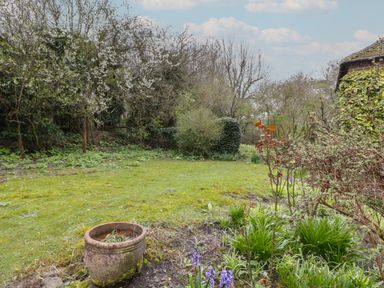 A garden with grass, a large plant pot, various plants and shrubs near a house covered in ivy at Chalkpit Cottage in Blewbury