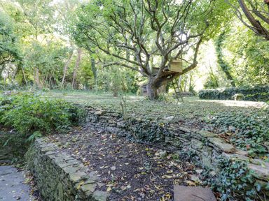 A garden with a treehouse on a large tree and stone retaining walls covered with plants at Chalkpit Cottage in Blewbury