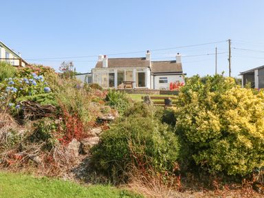 A house with a garden featuring various shrubs and flowers at Pen Bonc in Llanddaniel Near Gaerwen