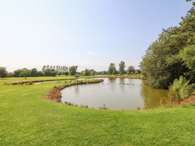 A pond surrounded by grass and trees with ducks swimming on the water at Pen Bonc in Llanddaniel Near Gaerwen