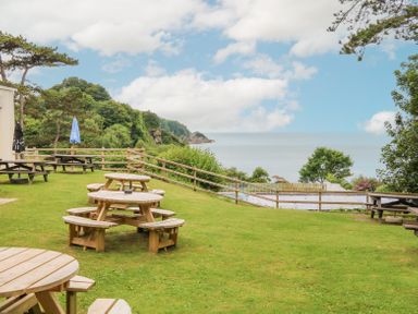 A grassy outdoor area with wooden picnic tables and a view of trees and the sea at Horizon Combe Martin