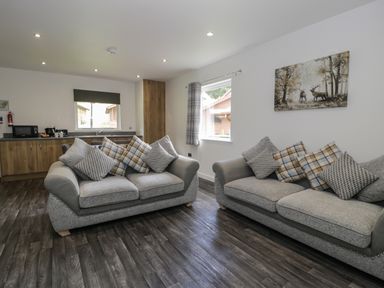 A living room with two grey sofas with cushions and a kitchen area with wooden cabinets at Luxury Lodge 69 in Dyserth