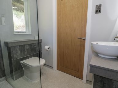 A bathroom with a toilet a wooden door a sink on a countertop and a window at Luxury Lodge 69 in Dyserth