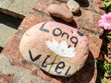 A painted rock with the words Long View and a white flower on a brick surface outdoors