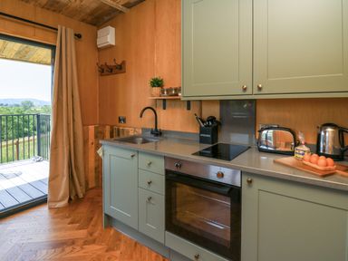 A kitchen with green cabinets a black faucet an oven a toaster kettle and eggs on the counter at Hen's Hideaway in Rhaedr Gwy near Rhayader