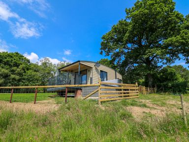 A small house with a porch and railing surrounded by a wooden fence and trees at Hen's Hideaway in Rhaedr Gwy near Rhayader