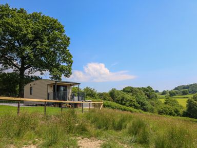 A small cabin with a deck next to a large tree in a rural field with hills at Hen's Hideaway in Rhaedr Gwy near Rhayader