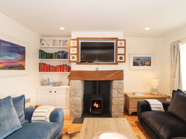 A living room with a fireplace a television on the wall bookshelves and sofas at The Riblows Cape Cornwall