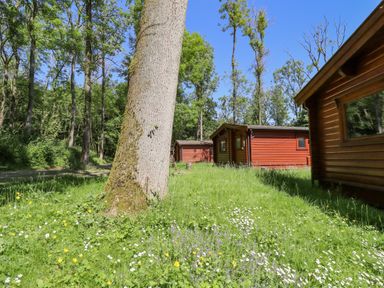 A grassy area with wildflowers and trees near wooden cabins at 64 Acorn Lodge Kenwick Park in Louth