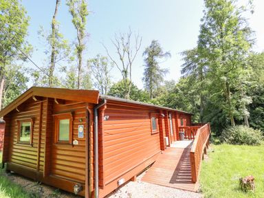 A wooden lodge with a ramp and surrounded by trees and grass at 64 Acorn Lodge Kenwick Park in Louth