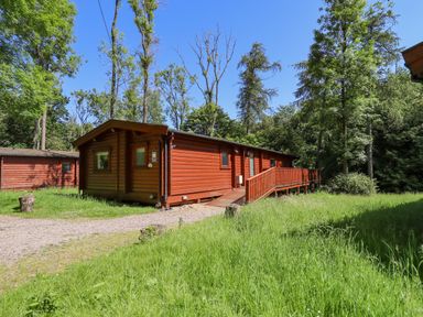 A wooden lodge with a ramp surrounded by grass and trees at 64 Acorn Lodge Kenwick Park in Louth