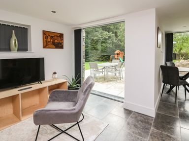 A living room with a gray chair a wooden TV stand with a television and plants and a view of an outdoor patio with a table and chairs at Glamorgan House in Cardiff
