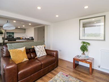A brown leather sofa with cushions and a green throw in a living room with a small wooden side table and a plant at Riverview 1 Brunel View in Saltash