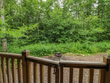 An outdoor view of trees and bushes from a wooden fence at The Leveret in Eppleby