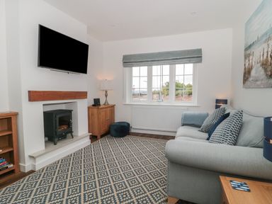 A living room with a wall-mounted television a small wood stove a window with a view a sofa and a patterned rug at Quay Cottage - Sea View in Poole