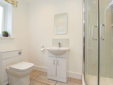 A bathroom with a toilet, sink with cabinet, mirror, shower enclosure, and a small potted plant on the window sill at 1 Orchard Cottages Dunstan near Craster