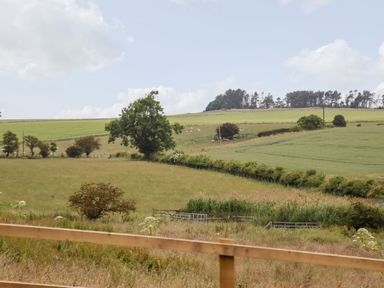 A rural landscape with fields trees and a wooden fence at 1 Orchard Cottages in Dunstan near Craster
