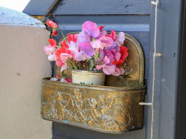 A brass wall planter with embossed figures holding a pot with pink and red flowers at Creed Cabin in Stornoway