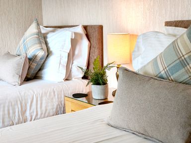 A bedroom with two beds with pillows a plant and a lamp on a bedside table at The Paddock in Keswick