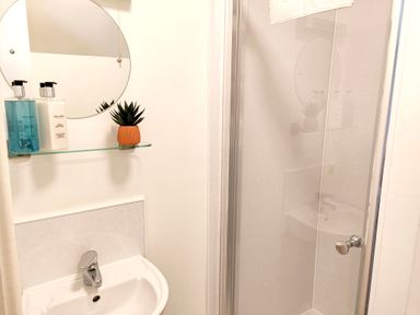 A bathroom sink with soap dispensers a small plant and a round mirror next to a glass shower door at The Paddock in Keswick