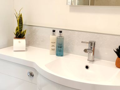 A bathroom sink with a chrome faucet two bottles of lotion and two potted plants on the counter at The Paddock in Keswick