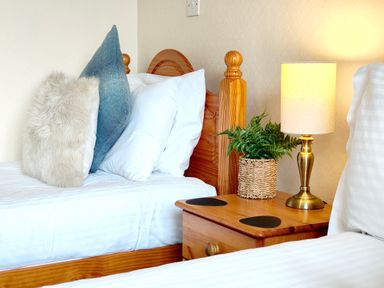 A bedroom with two single beds white bedding wooden headboards a nightstand with a lamp and a plant at The Paddock in Keswick