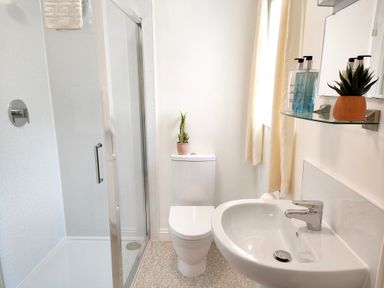 A bathroom with a shower enclosure toilet sink glass shelf with soap dispensers and plants at The Paddock in Keswick