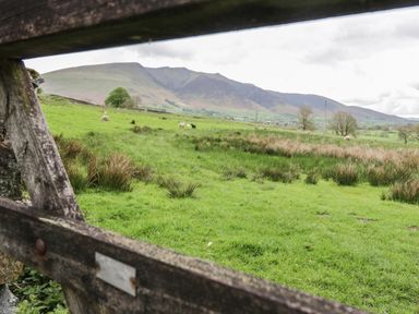 A green grassy field with sheep and hills in the background seen through a wooden gate at The Paddock in Keswick